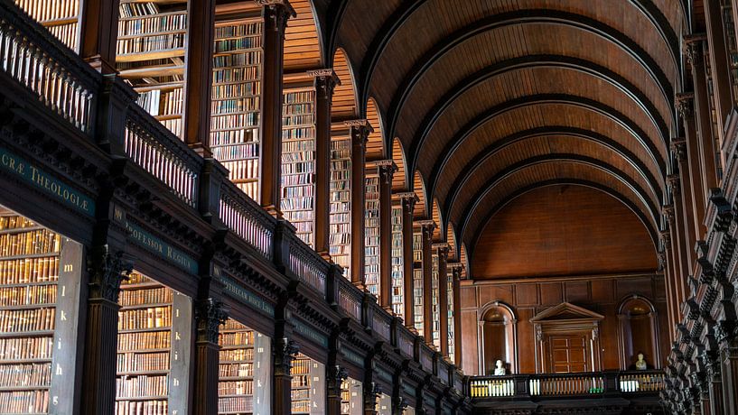 Bibliothek des Trinity College von Terry De roode