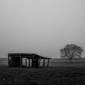 dans les champs de flandre sur mario vanparys