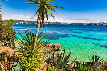 Prachtig uitzicht op baai kust in Cala Fornells, strand Majorca eiland, Spanje van Alex Winter