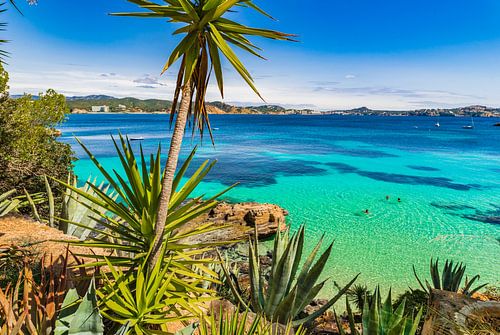 Beautiful view of bay coast in Cala Fornells, beach Majorca island, Spain