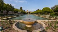 Pond near the Alcazar in Cordoba, Spain