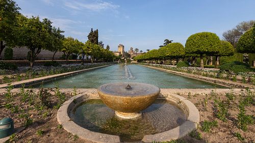 Vijver bij het Alcazar in Cordoba, Spanje