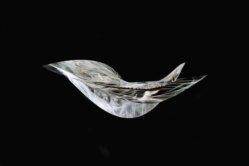Bird fantasy abstract by Tatjana Korneeva