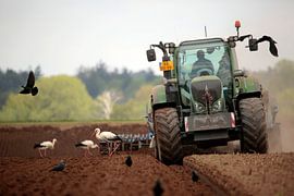 Auf ut land von Frank Smedts