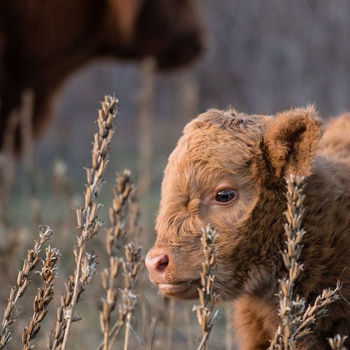 ich und meine Mutter