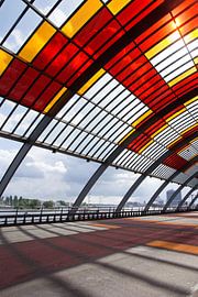 Zonnige dag op het station von Tess Groote