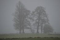 Kahle Bäume im Nebel. Geheimnisvoller Winter von Ronald H Miniaturansicht