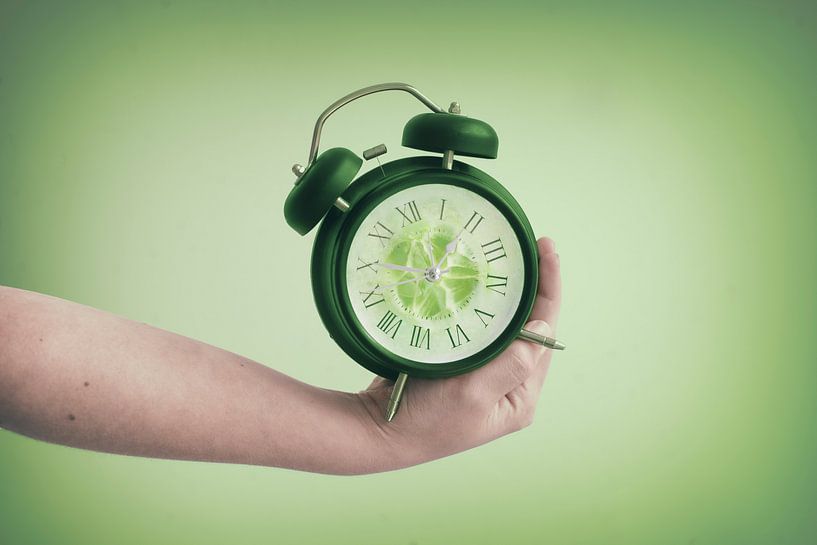 Cucumber time: The Quiet Summer Period with Little News by Elianne van Turennout