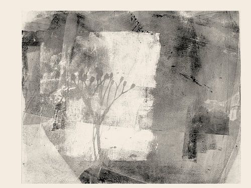 Zwart-witte abstracte botanische kunst — bladvormen