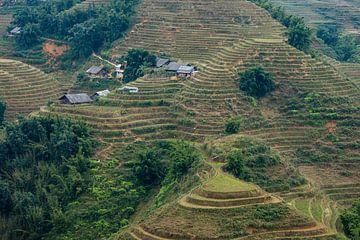 De rijstterrassen bij Sapa in Vietnam van Roland Brack