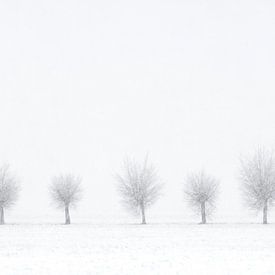 Fünfter Winter von M DH