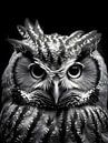 Close up uil in zwart wit van Moody Mindscape thumbnail