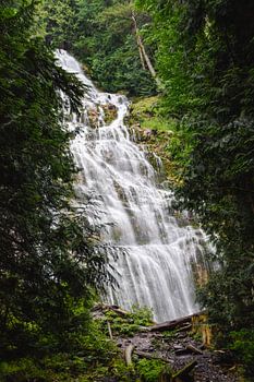 Les chutes nuptiales