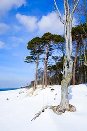 Baltic Sea West Beach by Thomas Jäger