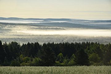 Een mist boven de bergen op een zomerochtend van Claude Laprise