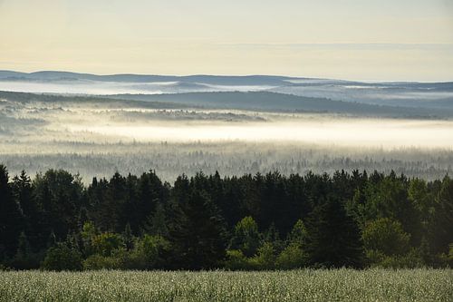 Een mist boven de bergen op een zomerochtend