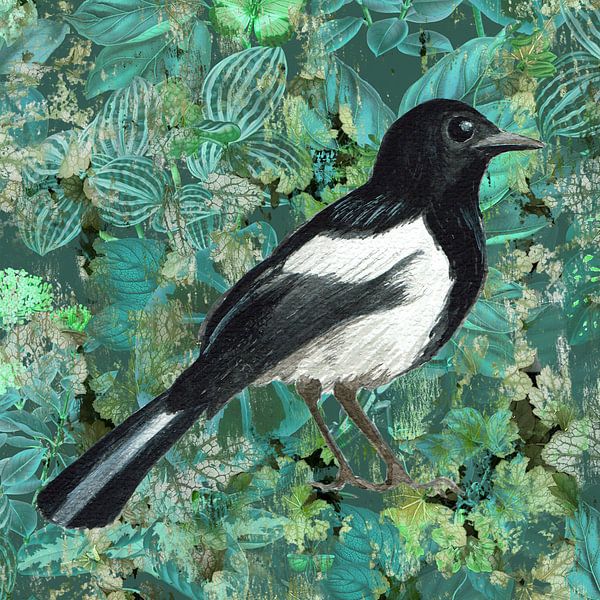 Magpie by Behindthegray