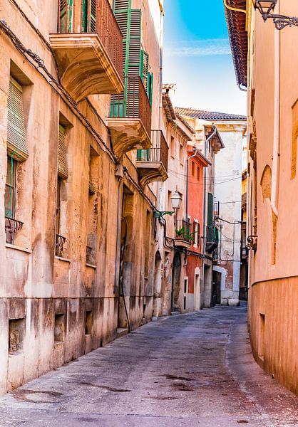 Straat in de oude stad van Palma de Mallorca, Spanje van Alex Winter