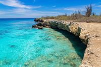Landscape with rocky coast and shallow sea on the island of Bonaire