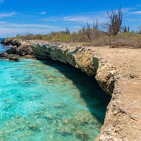 Landschap met rotsachtige kust en ondiepe zee op het eiland Bonaire van Ben Schonewille
