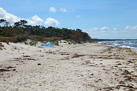 Darß - Weststrand von t.ART