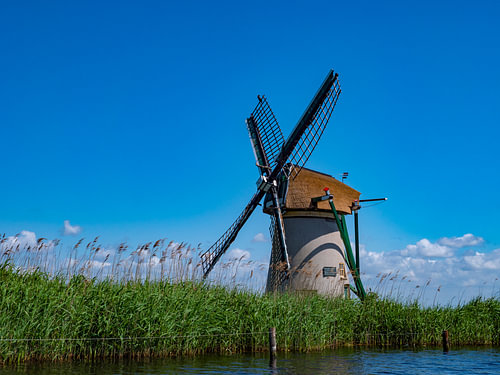 genieten van het uitzicht in Holland