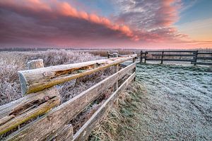 Sonnenaufgang an einem kalten Wintermorgen im Nationalpark Lauwersmeer