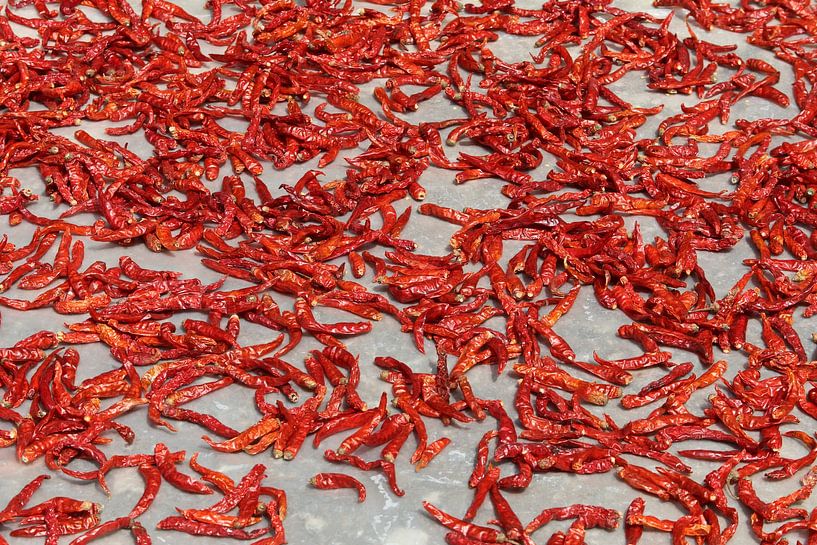 Chilipepers liggen te drogen in de zon, India van Danielle Roeleveld