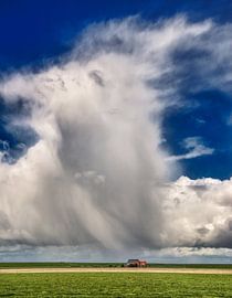 Zeer plaatselijke regenwolk von Harrie Muis