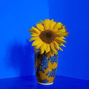 Zonnebloem in vase bleu dream