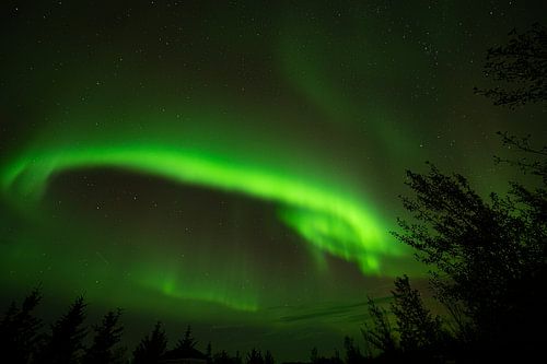 Noorderlicht Aurora borealis IJsland