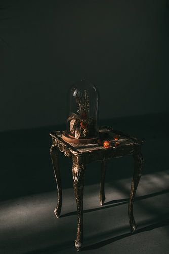 Donker Stilleven Stolp | Fine art fotoprint | Tumbleweed & Fireflies Photography