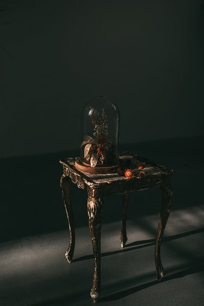Dark Still Life Stolp | Fine art photo print | Tumbleweed &amp; Fireflies Photography by Eva Krebbers | Tumbleweed & Fireflies Photography