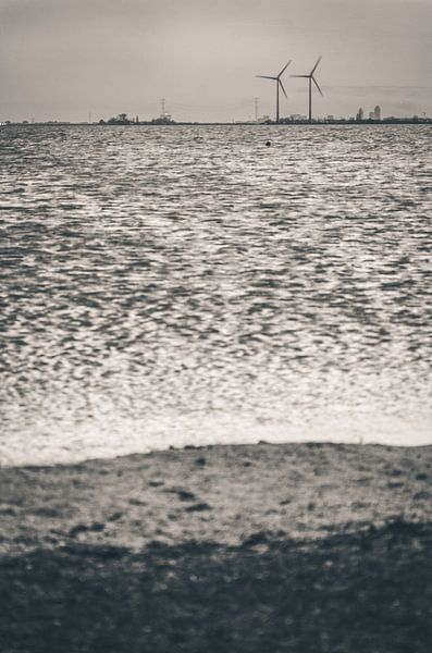 At the horizon - monochrome (Marken) von Alessia Peviani
