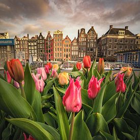 Tulpenfest in Amsterdam von Nick de Jonge - Skeyes