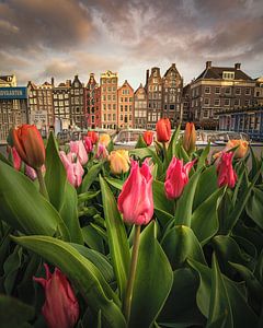 Festival des tulipes à Amsterdam sur Nick de Jonge - Skeyes