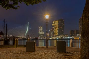 Een lichtje in het donker. Rotterdam in de avond van Harmen Goedhart