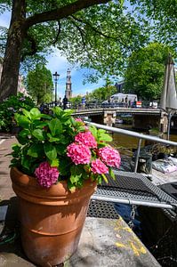Sommer in Amsterdam
