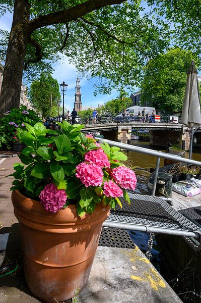 Zomer in Amsterdam van Peter Bartelings