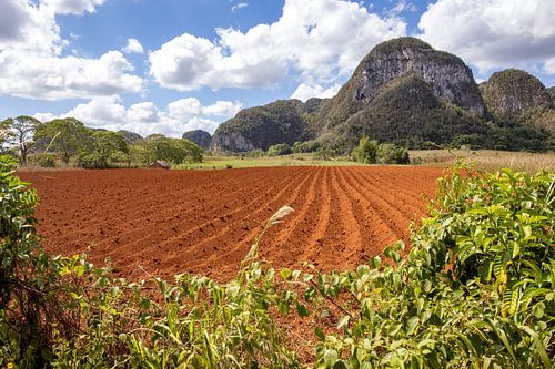 Prachtige kleuren van een geploegd land in Cienfuegos Cuba