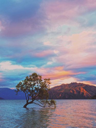 Coucher de soleil à Wanaka