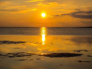 Coucher de soleil dans la mer des Wadden sur Animaflora PicsStock