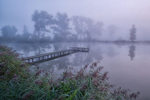Houten steiger bij mistige meer