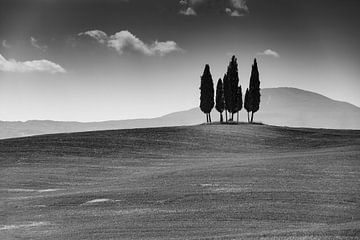 Groepje bomen met kruis in Toscane in zwart wit van Leo van Valkenburg