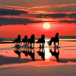 Chevaux frisons au coucher du soleil