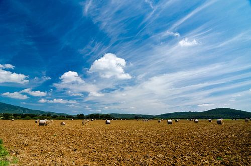 Spaanse platteland