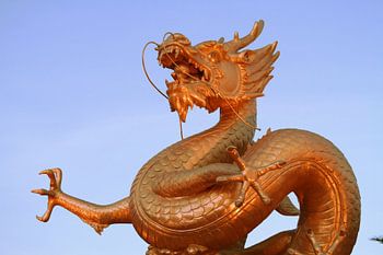 Dragon in Phuket 