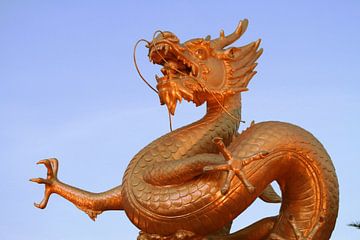 Dragon in Phuket  von Annasus Nenolas