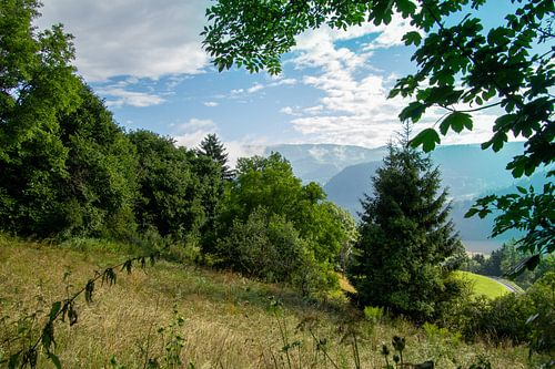 Uitzicht over de bossen en weilanden en de bergen in de verte.