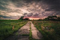 Forsaken path